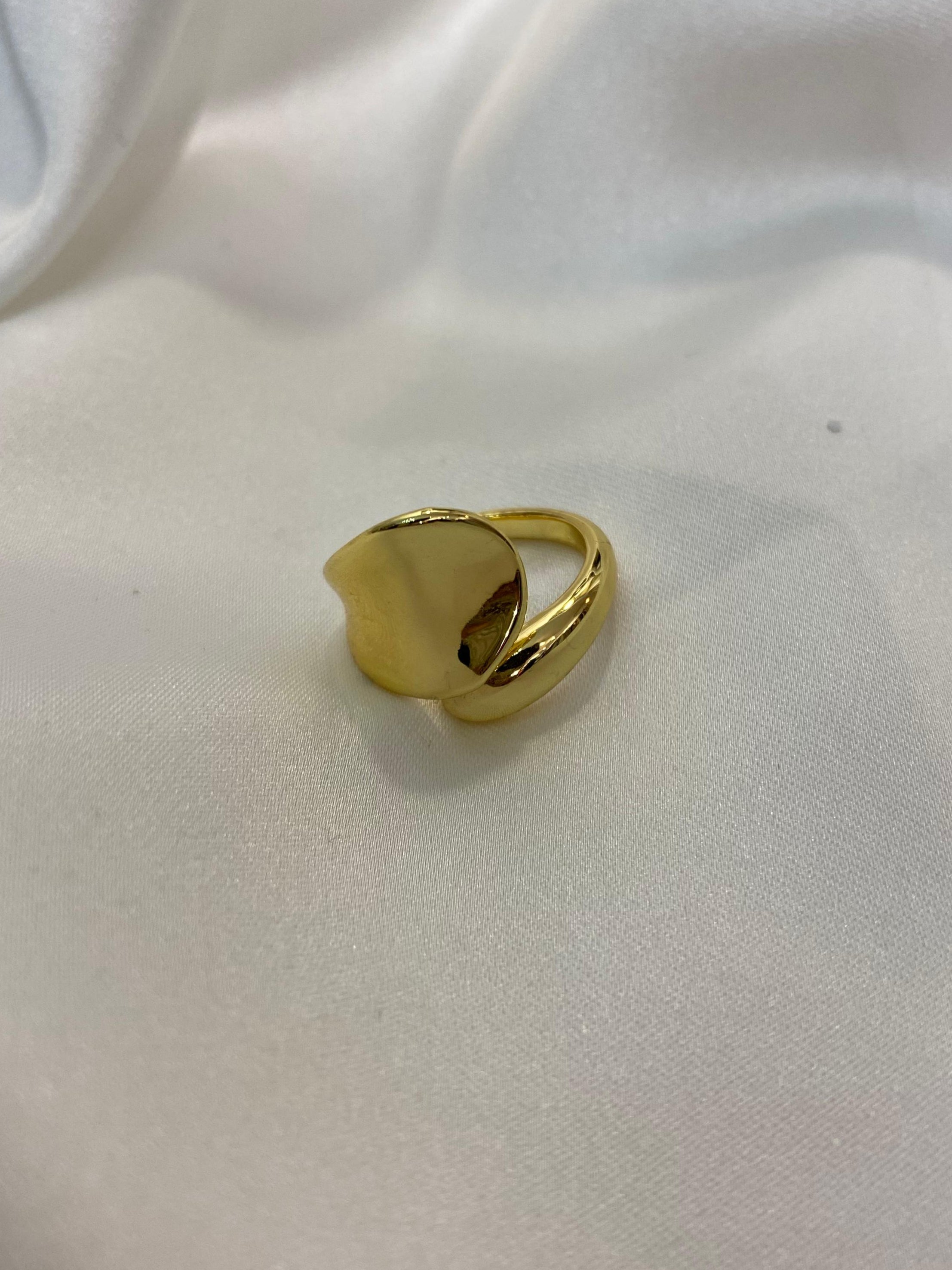 Anillo Doble