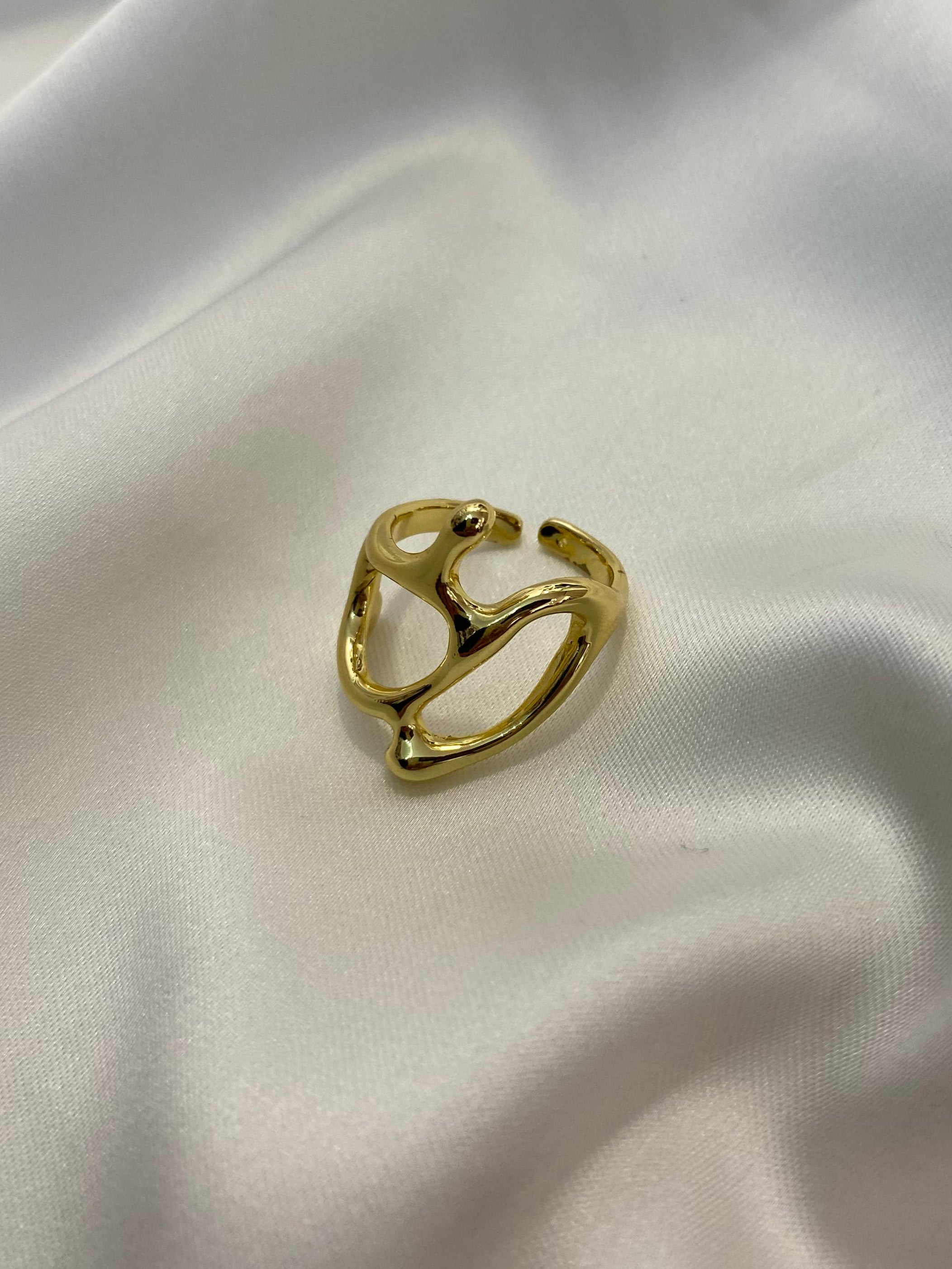 Anillo Dupla